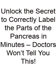 Unlock The Secret To Correctly Label The Parts Of The Pancreas In Minutes – Doctors Won’t Tell You This!