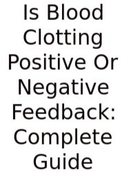 Is Blood Clotting Positive Or Negative Feedback: Complete Guide