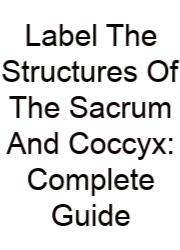 Label The Structures Of The Sacrum And Coccyx: Complete Guide