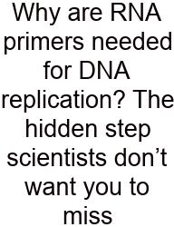 Why Are RNA Primers Needed For DNA Replication? The Hidden Step Scientists Don’t Want You To Miss